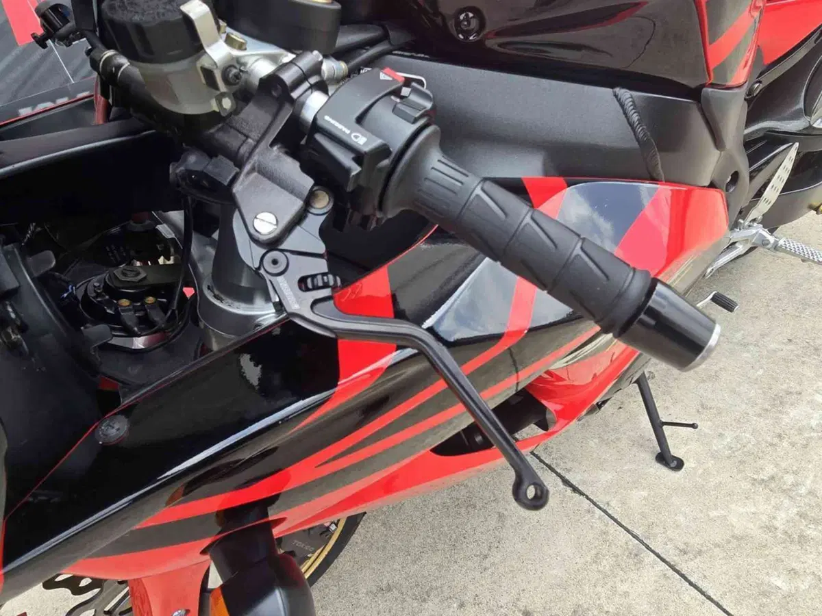 Honda CBR 1000 RR Fireblade (2006 - 07) (22)