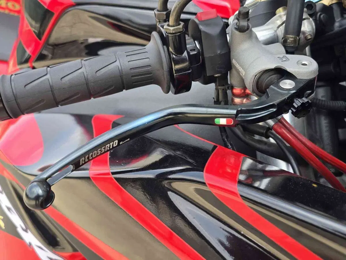 Honda CBR 1000 RR Fireblade (2006 - 07) (14)