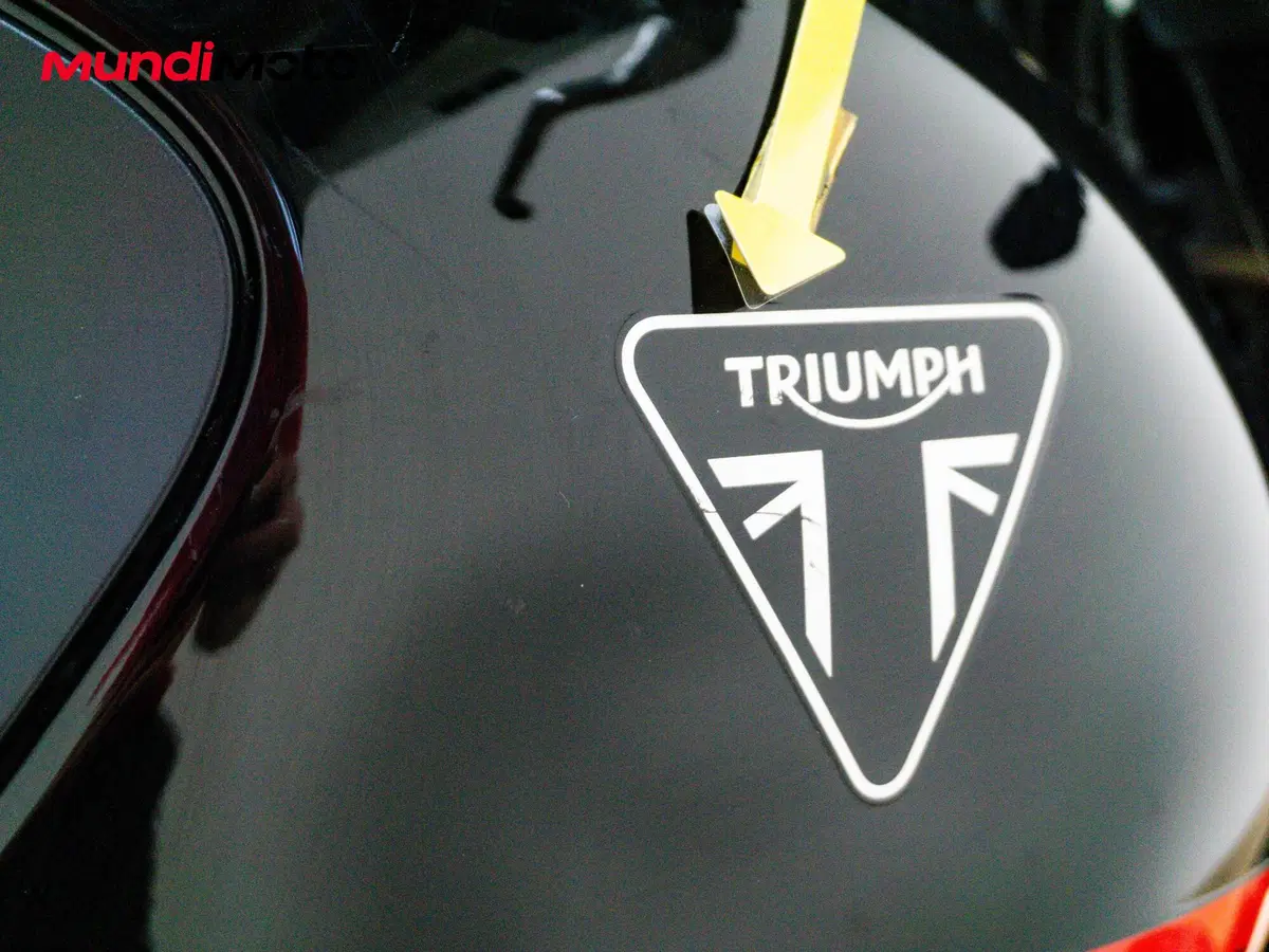 Triumph Trident 660 (2025) (13)