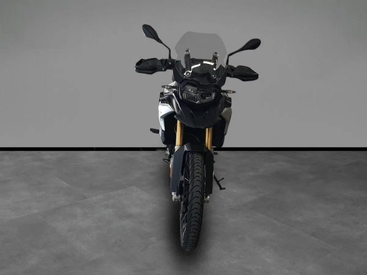 Bmw F 850 GS (2018 - 20) (3)