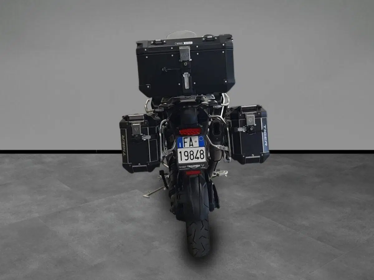 Triumph Tiger 1200 Rally Explorer (2022 - 23) (4)