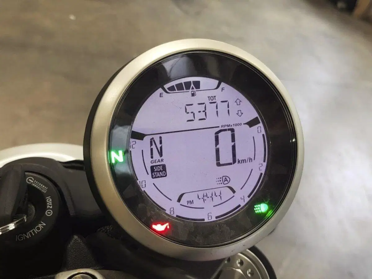 Ducati Scrambler 800 Icon (2023 - 24) (6)