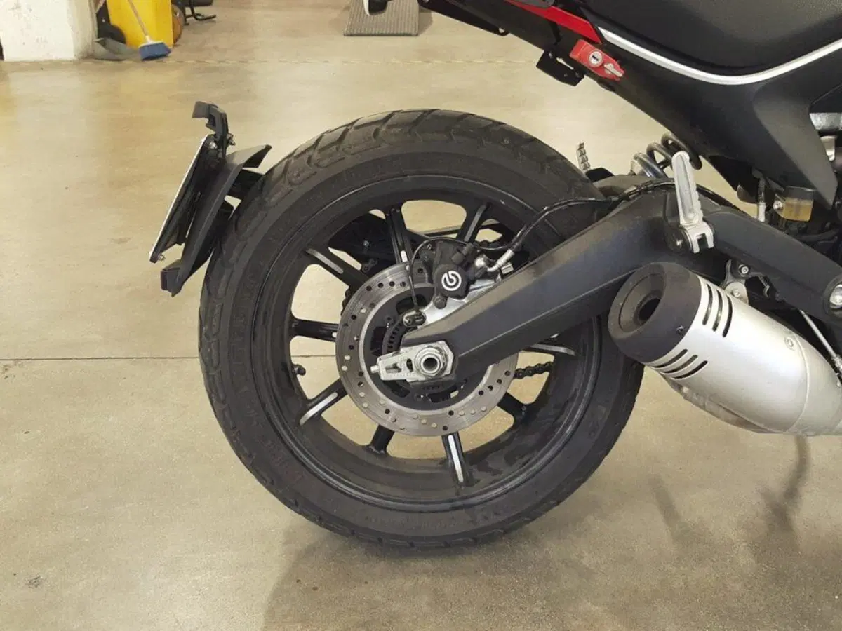 Ducati Scrambler 800 Icon (2023 - 24) (9)