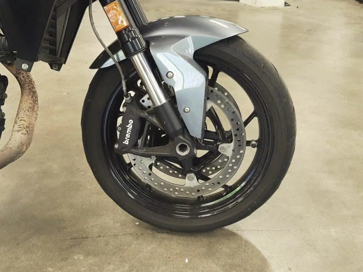Bmw F 900 R (2021 - 24) (8)