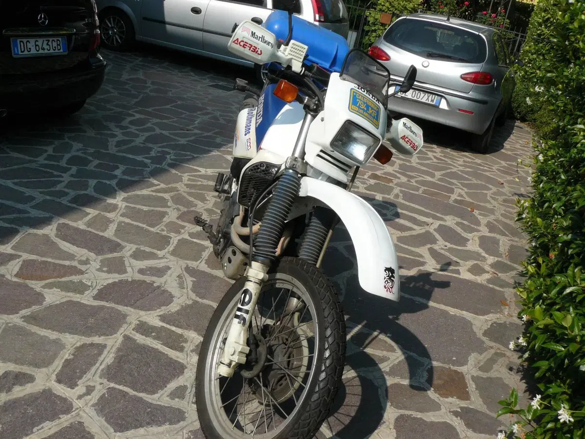 Honda XL 600 RM Rothmans  (4)