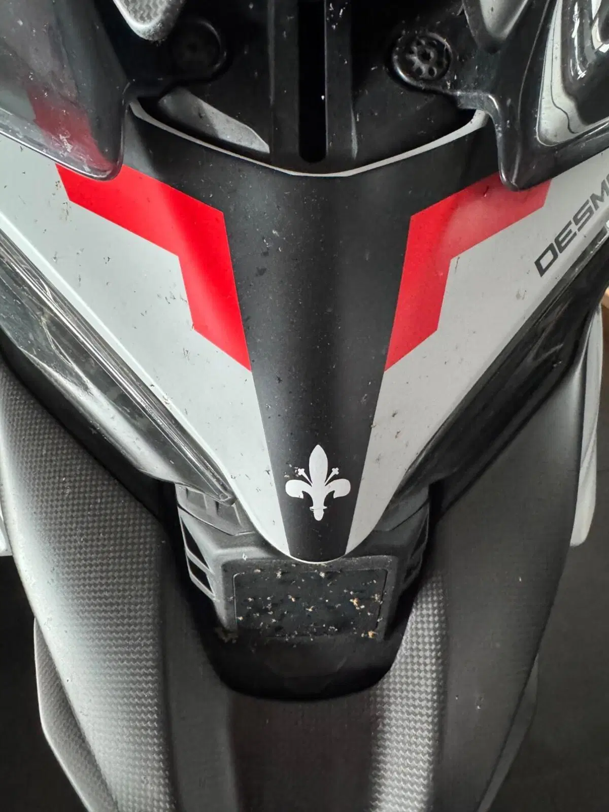 Ducati Multistrada V4 RS (2024 - 25) (3)