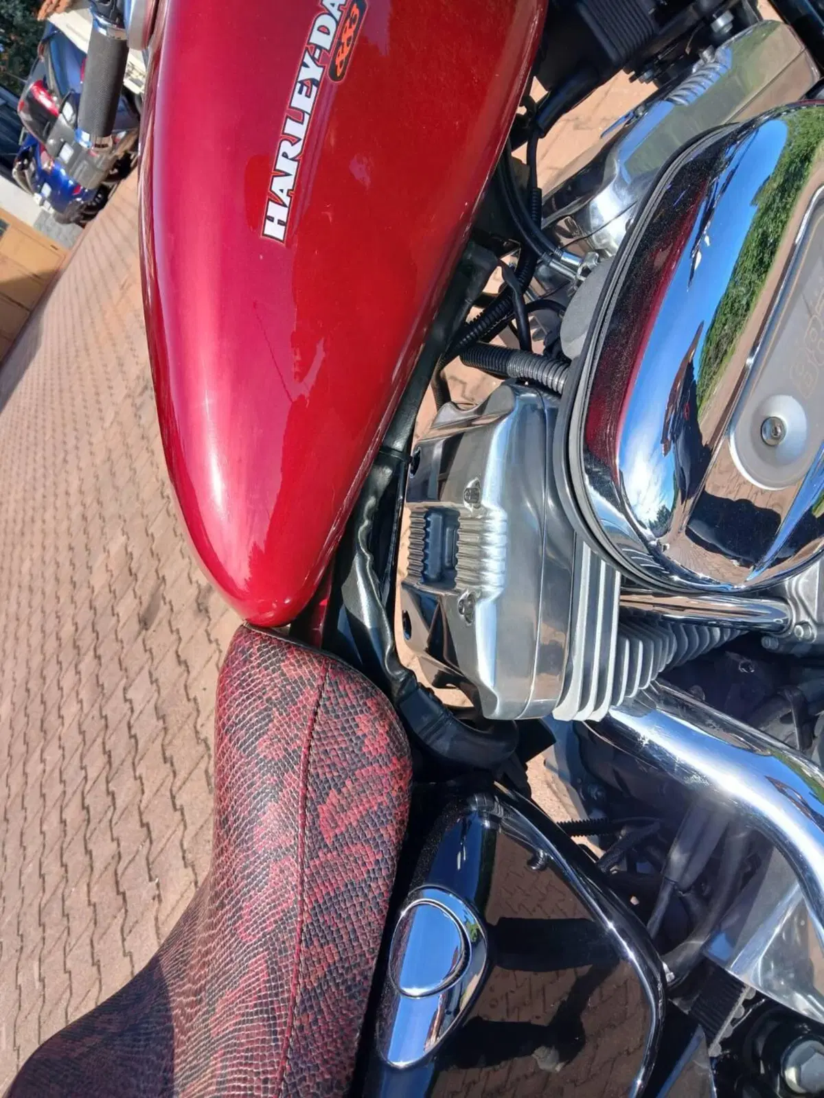 Harley-Davidson 883 Custom (2006 - 07) - XL 883C (7)