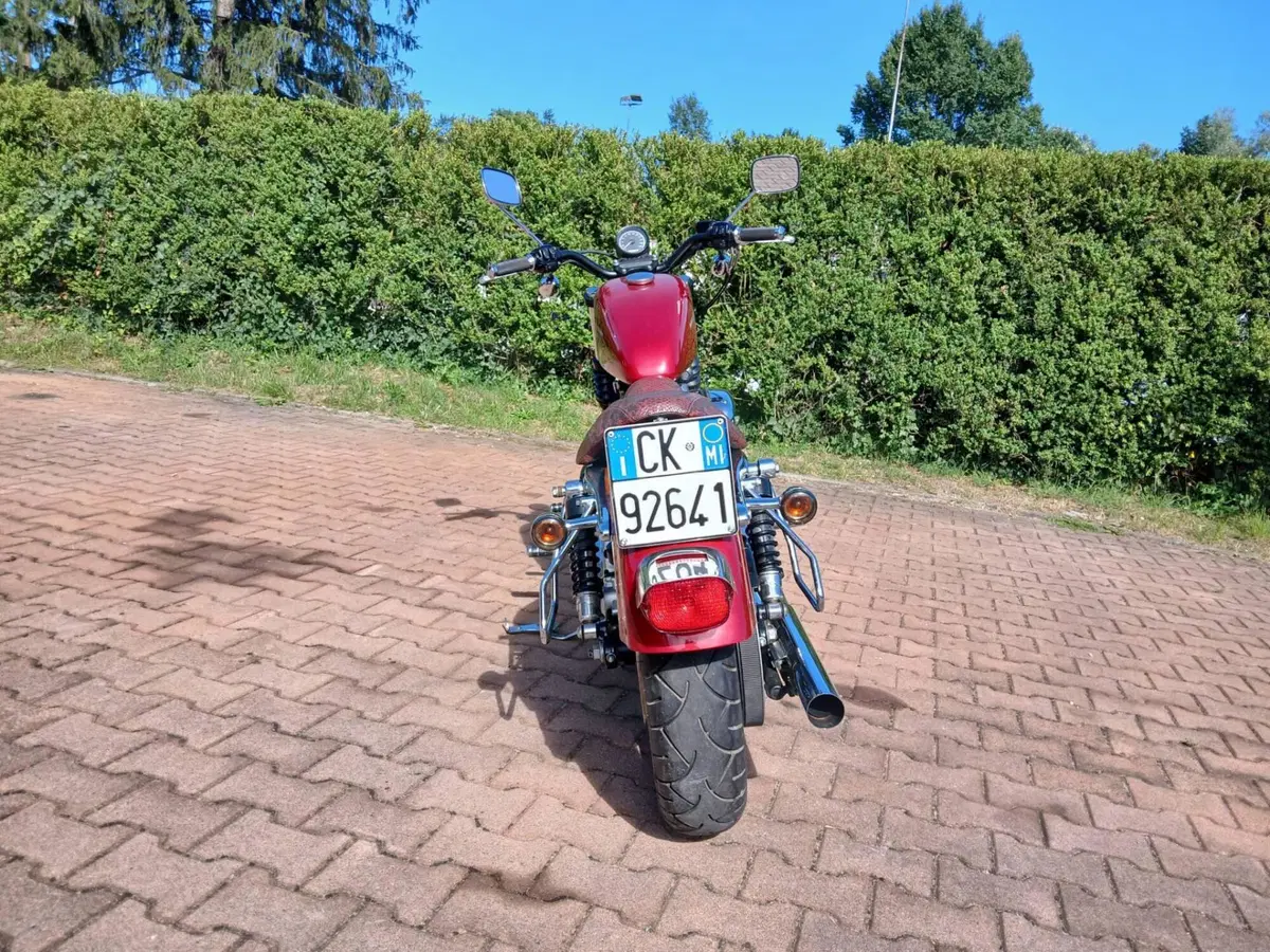 Harley-Davidson 883 Custom (2006 - 07) - XL 883C (3)