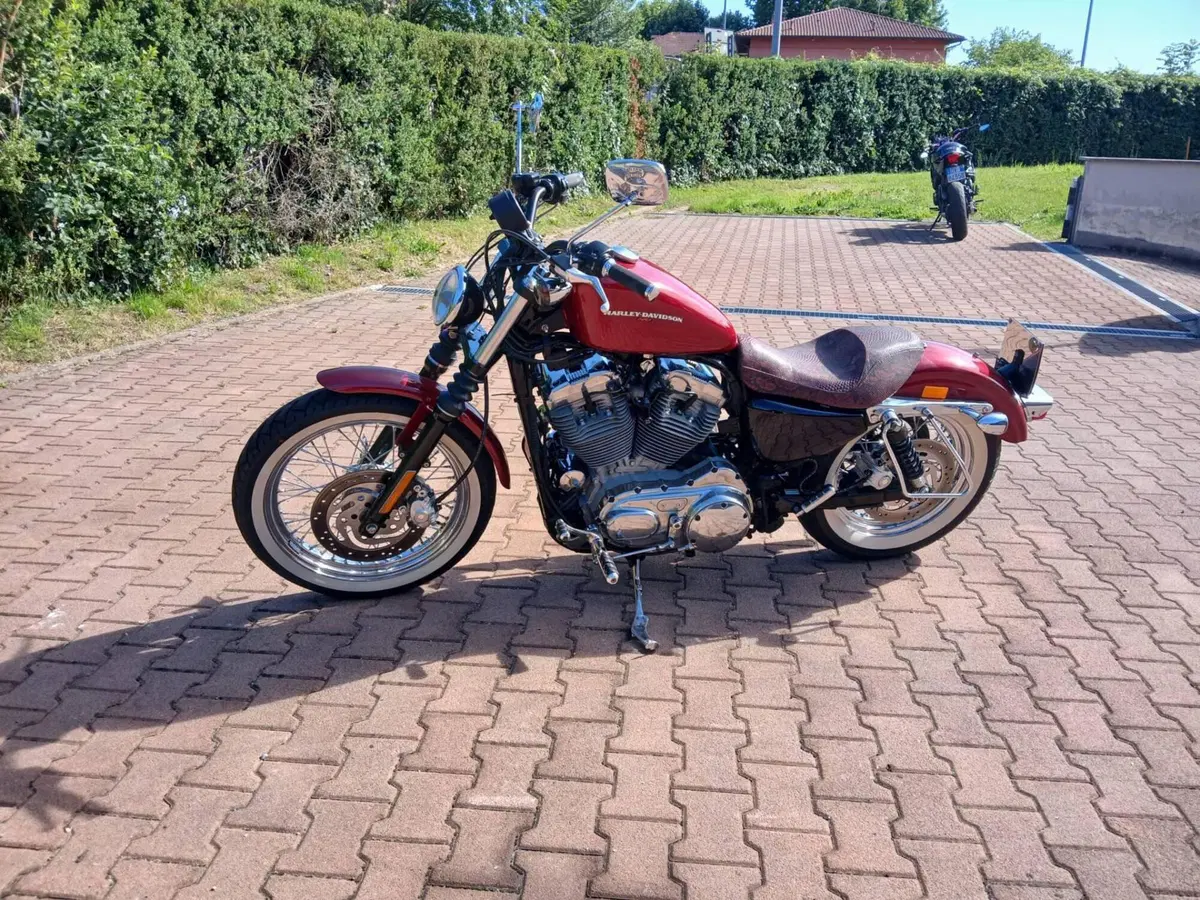 Harley-Davidson 883 Custom (2006 - 07) - XL 883C (4)