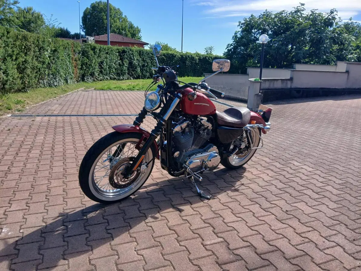 Harley-Davidson 883 Custom (2006 - 07) - XL 883C (2)