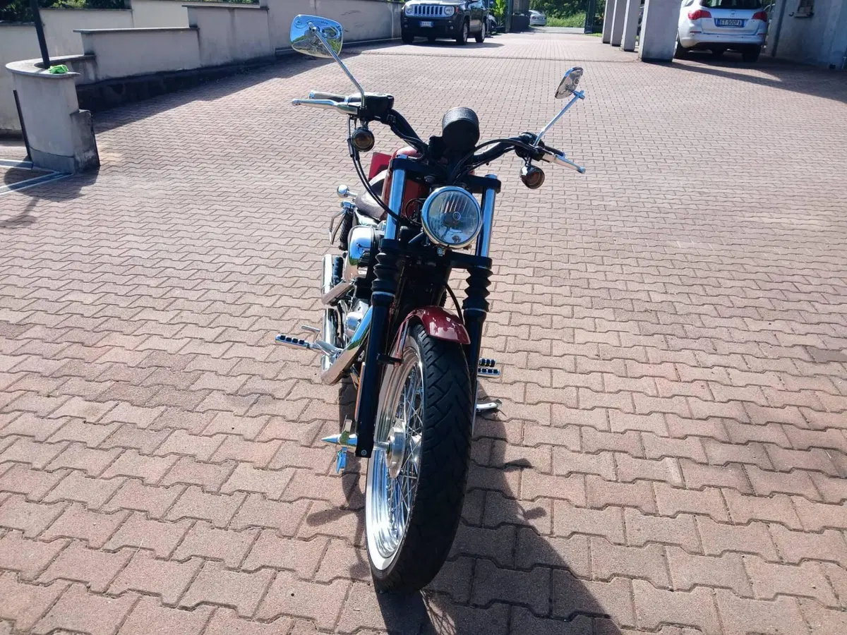 Harley-Davidson 883 Custom (2006 - 07) - XL 883C (5)