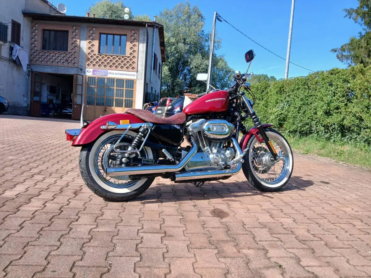 Harley-Davidson 883 Custom (2006 - 07) - XL 883C (6)