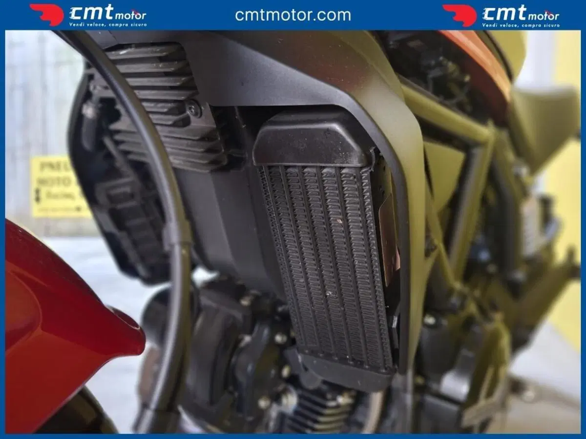 Ducati Scrambler 800 Icon (2023 - 24) (11)