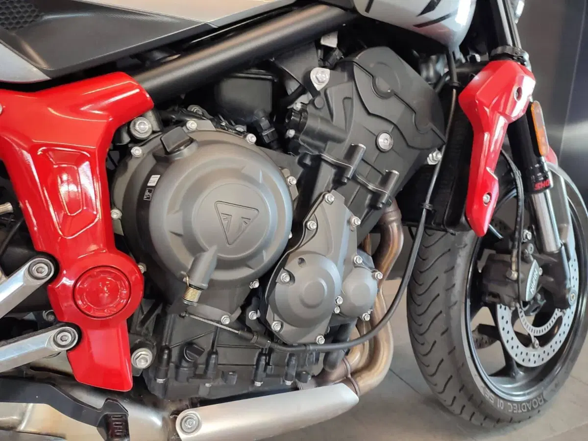 Triumph Trident 660 (2021 - 24) (5)