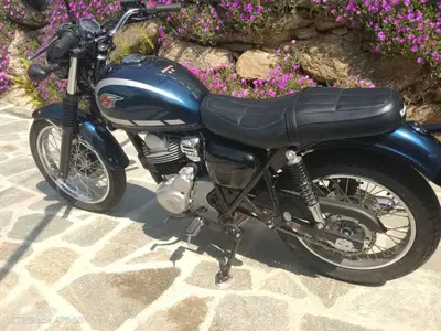 Kawasaki W 230 (2025 - 26) usata