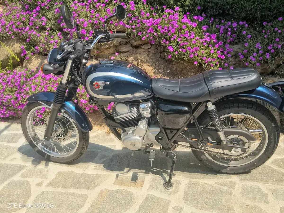 Kawasaki W 230 (2025 - 26) (7)