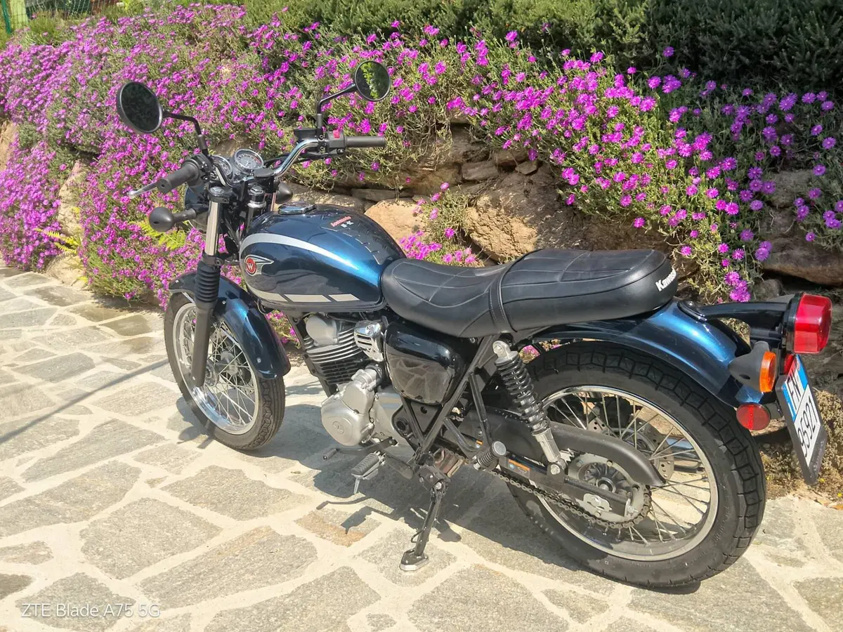 Kawasaki W 230 (2025 - 26) (8)