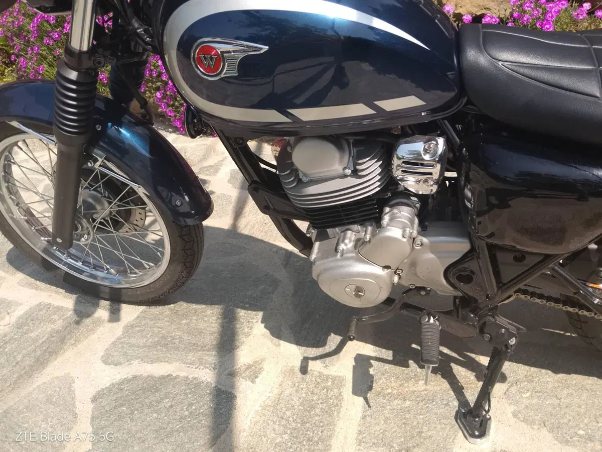 Kawasaki W 230 (2025 - 26) (13)