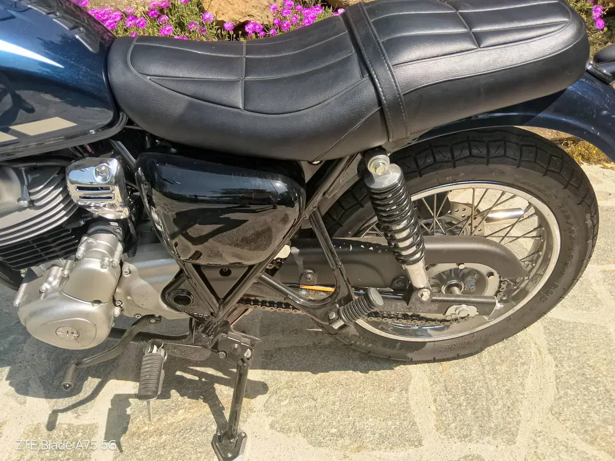 Kawasaki W 230 (2025 - 26) (14)