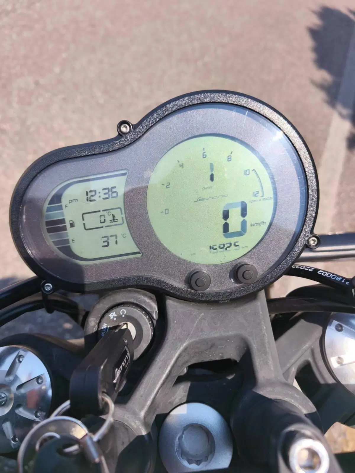 Benelli Leoncino 500 Trail (2021 - 26) (5)