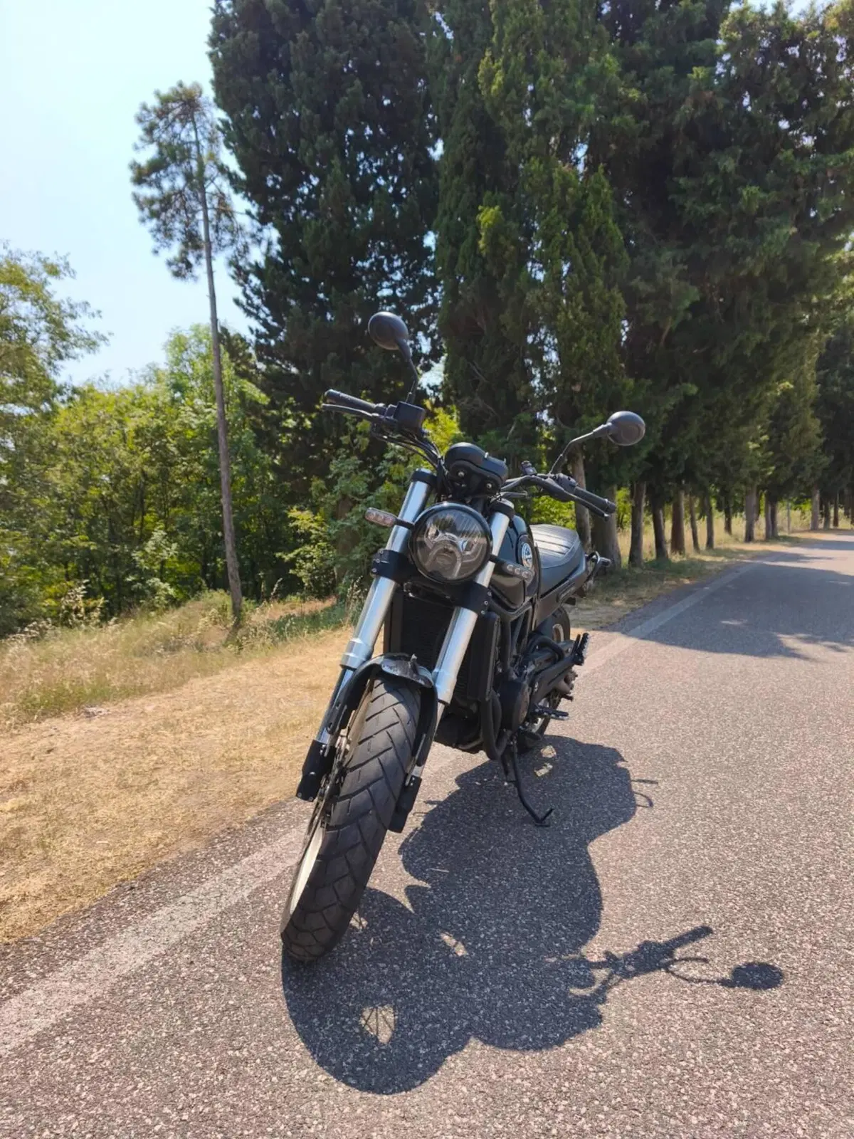 Benelli Leoncino 500 Trail (2021 - 26) (6)