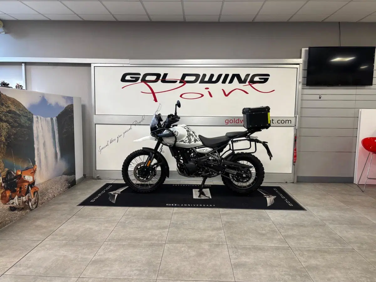 Royal Enfield Himalayan 450 (2024 - 26) (10)