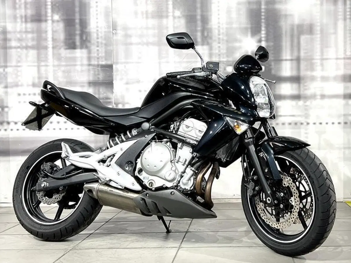 Kawasaki ER-6N (2005 - 08)