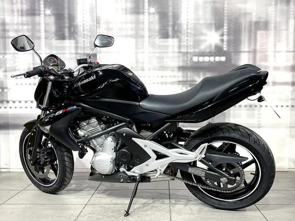 Kawasaki ER-6N (2005 - 08) (2)