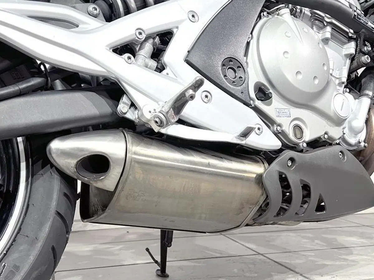 Kawasaki ER-6N (2005 - 08) (4)