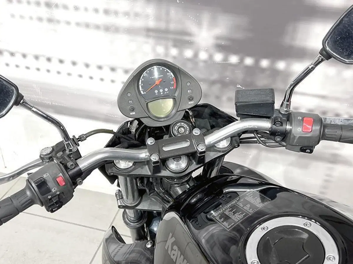 Kawasaki ER-6N (2005 - 08) (6)