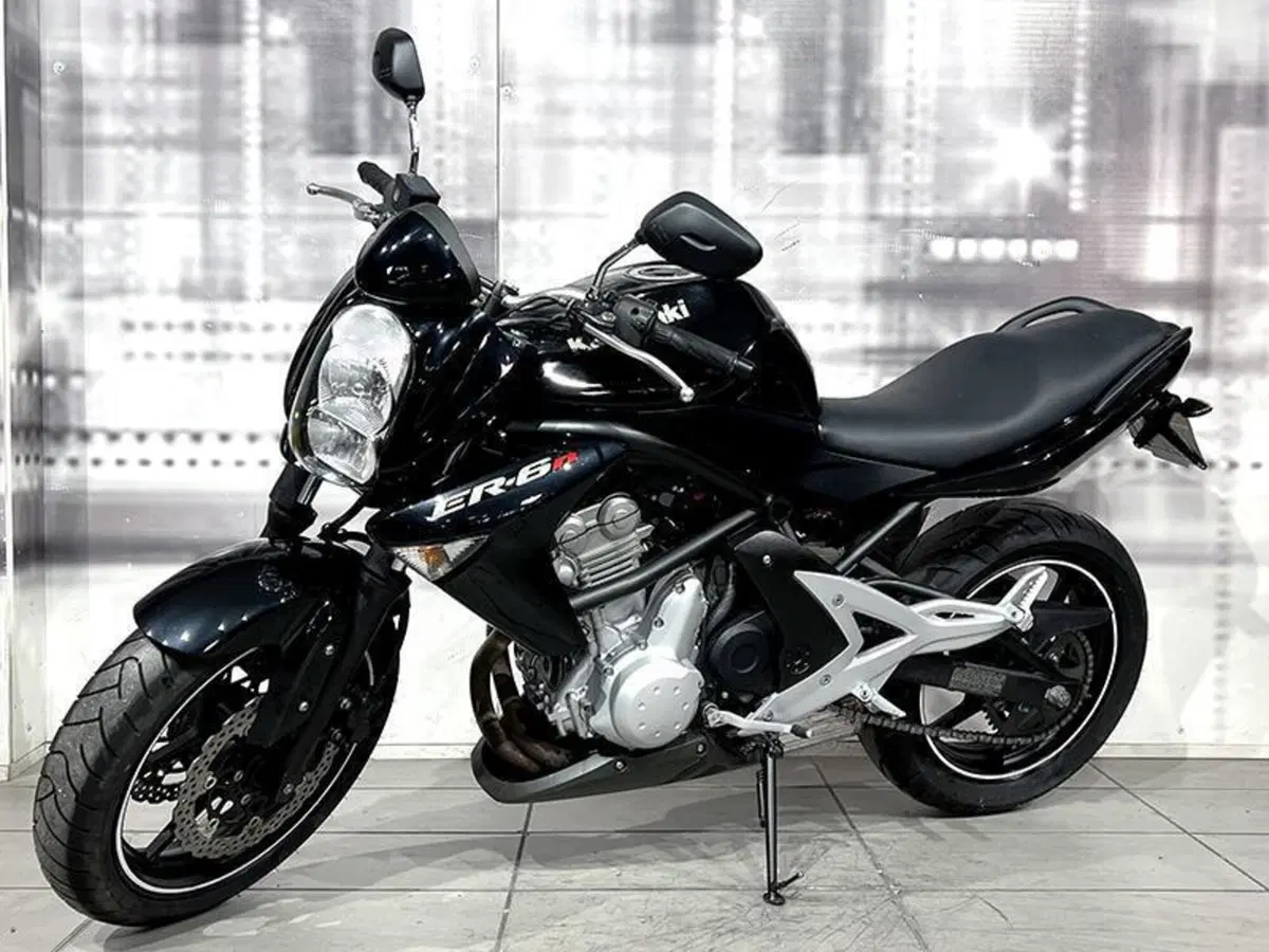 Kawasaki ER-6N (2005 - 08) (7)