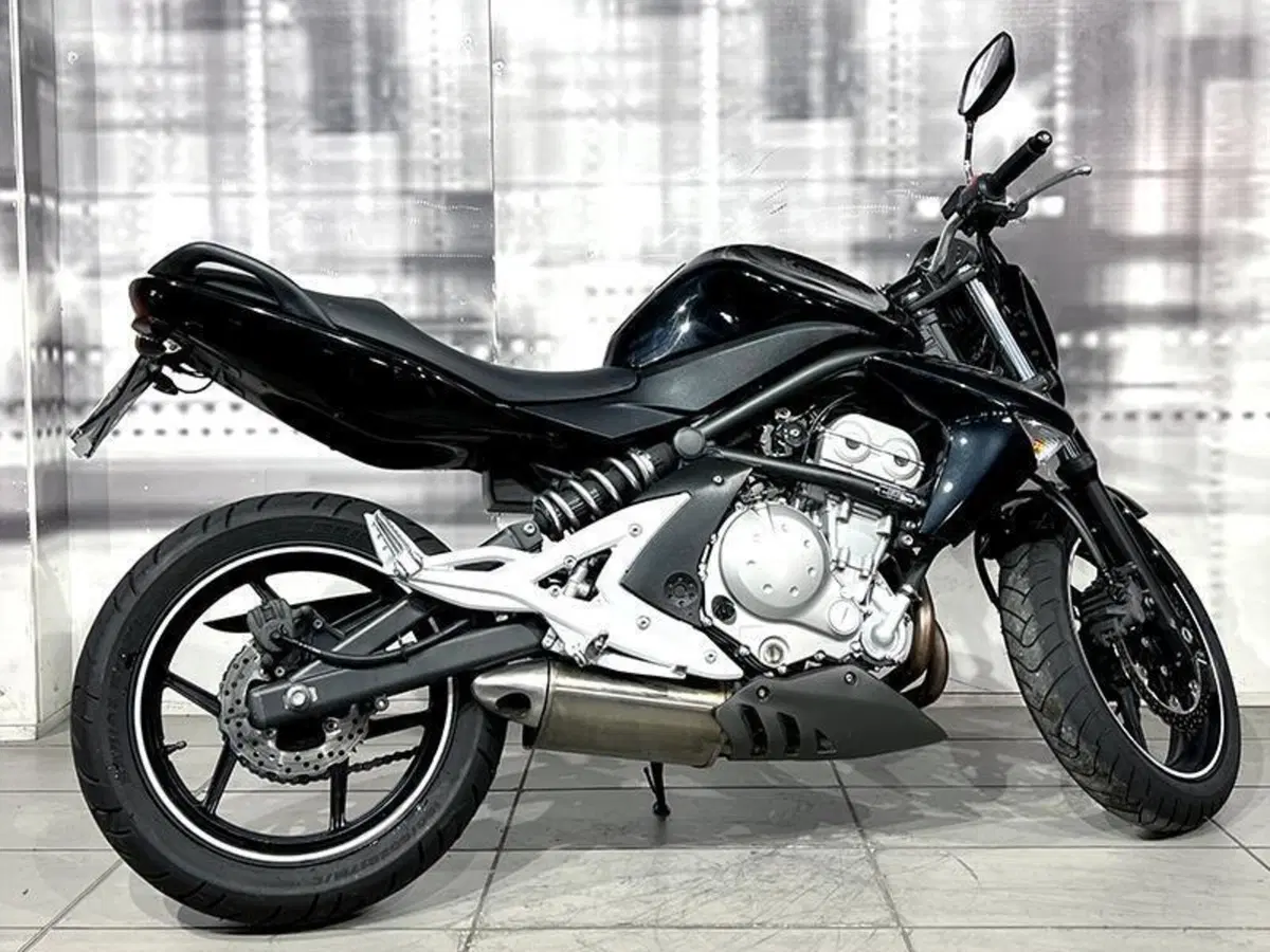 Kawasaki ER-6N (2005 - 08) (8)