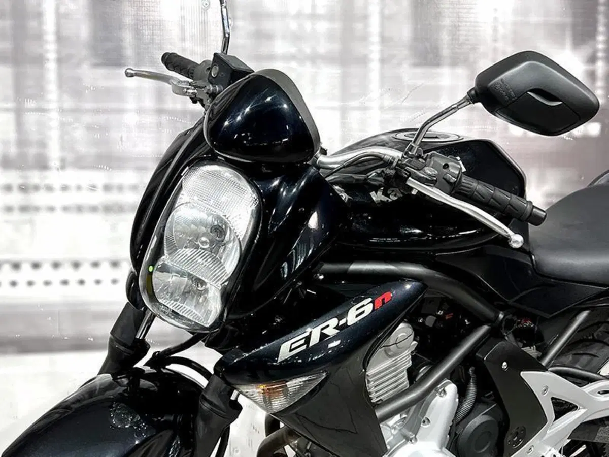 Kawasaki ER-6N (2005 - 08) (9)