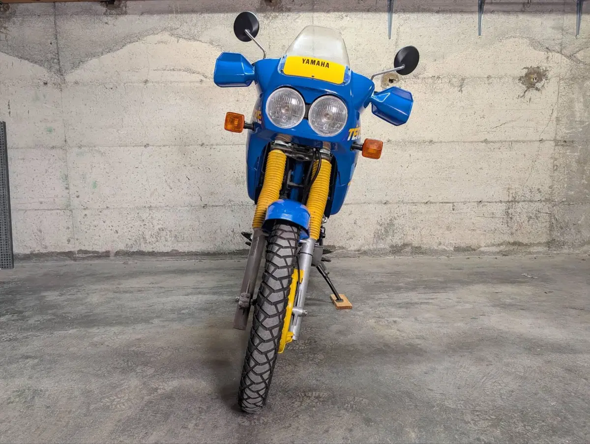 Yamaha Xt600z 3aj (3)