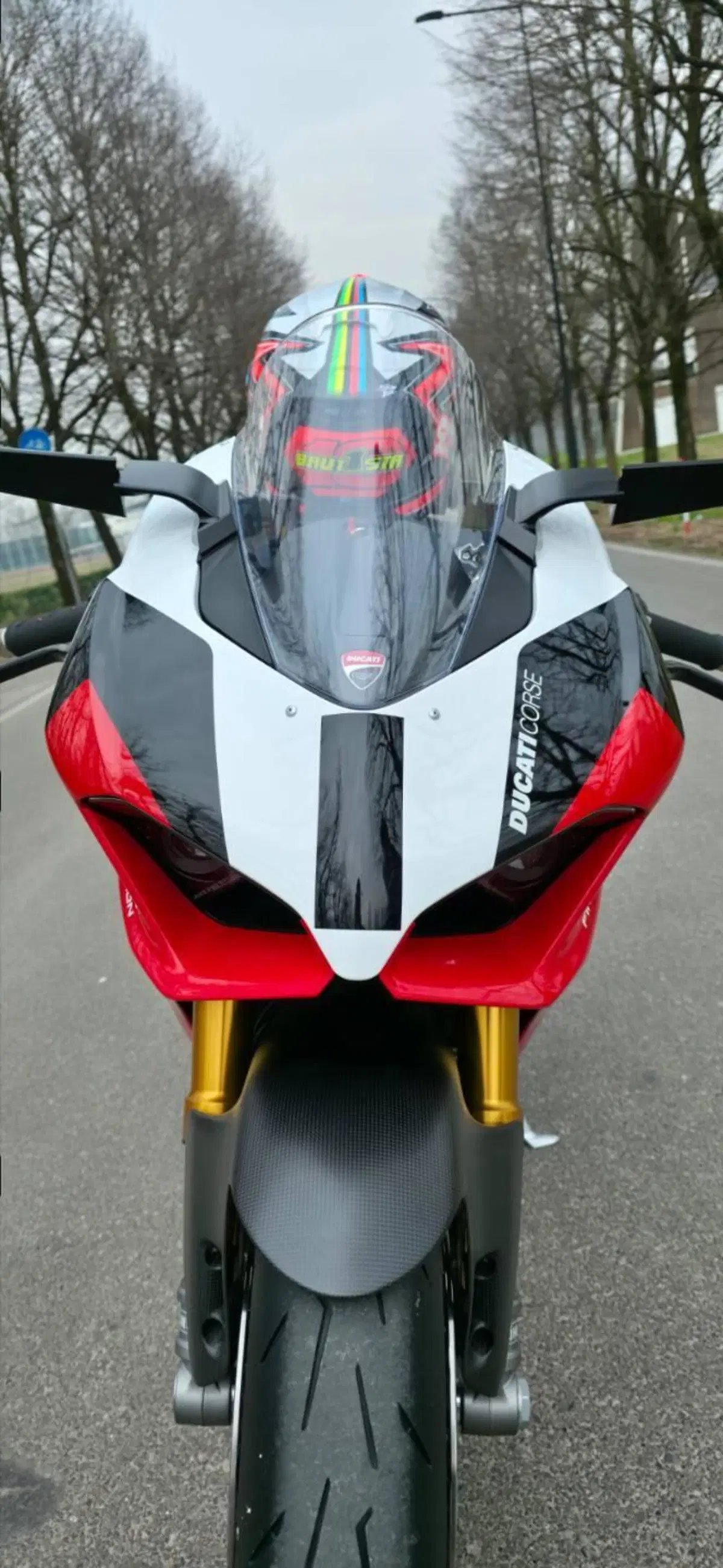 Ducati Panigale V2 Superquadro Final Edition (2024) (6)