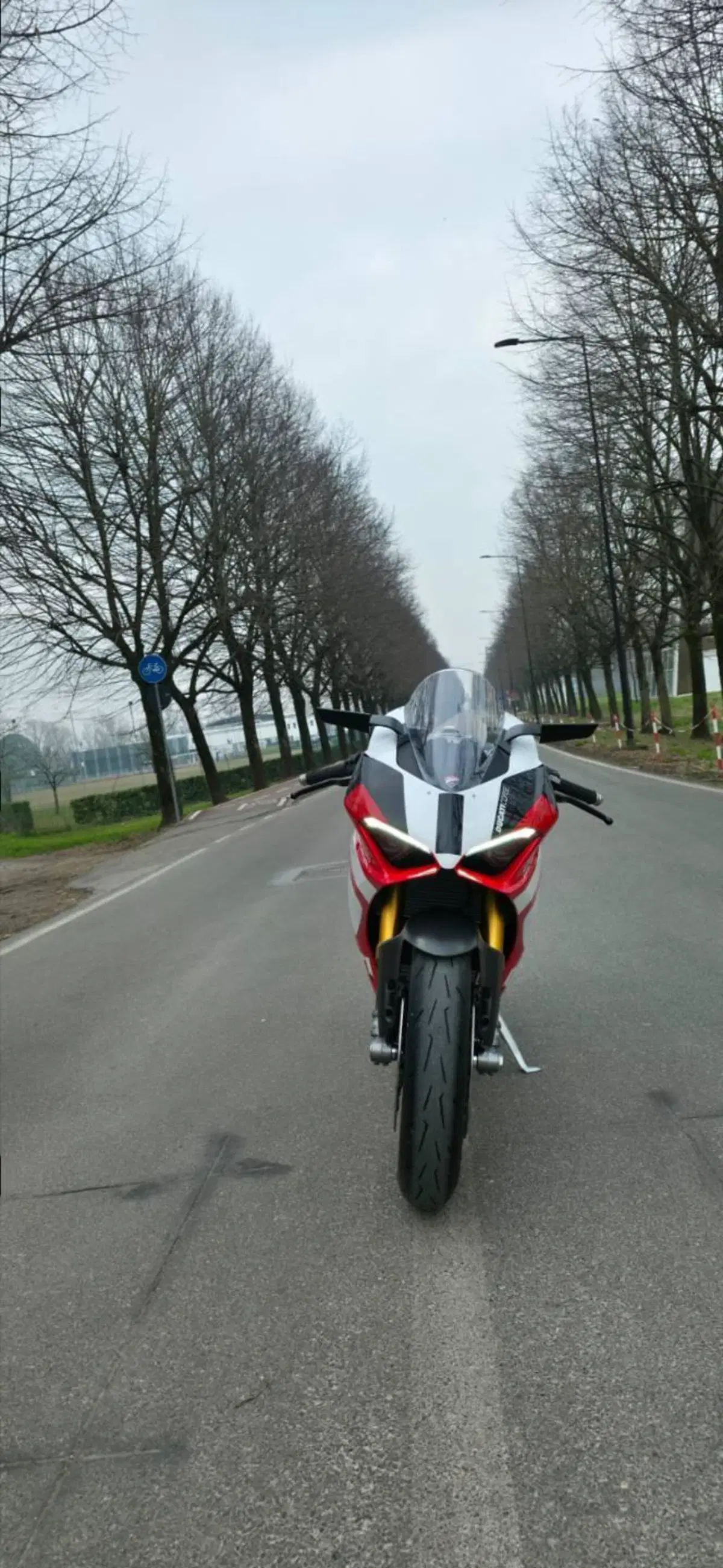 Ducati Panigale V2 Superquadro Final Edition (2024) (7)