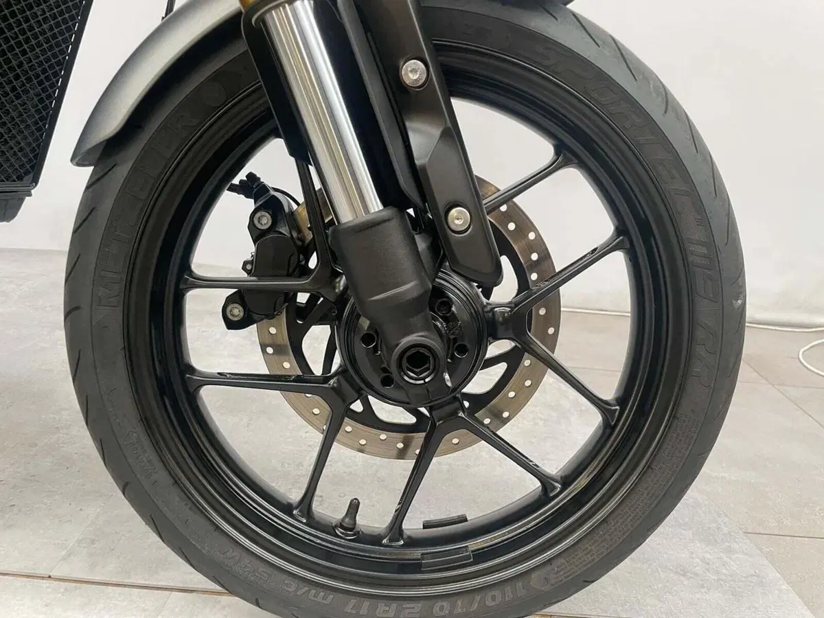 Triumph Speed 400 (2024 - 26) (18)