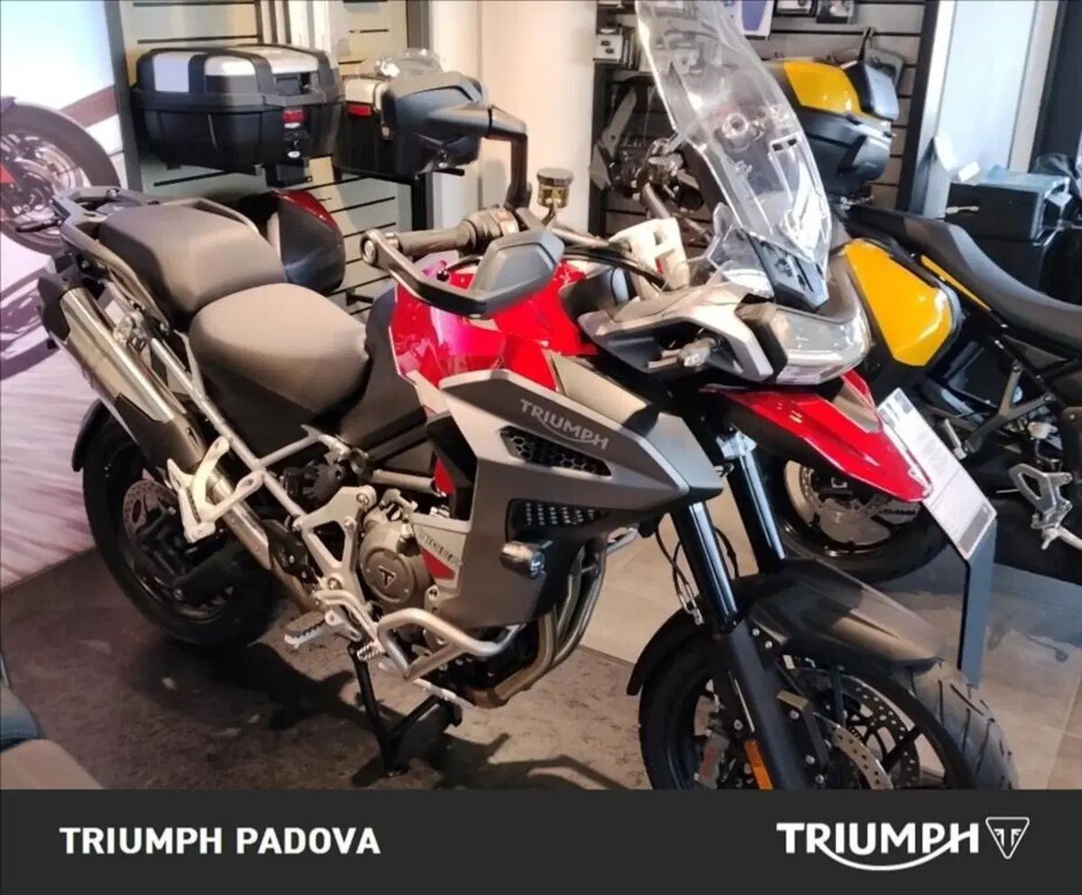 Triumph Tiger 1200 GT Explorer (2024 - 26)