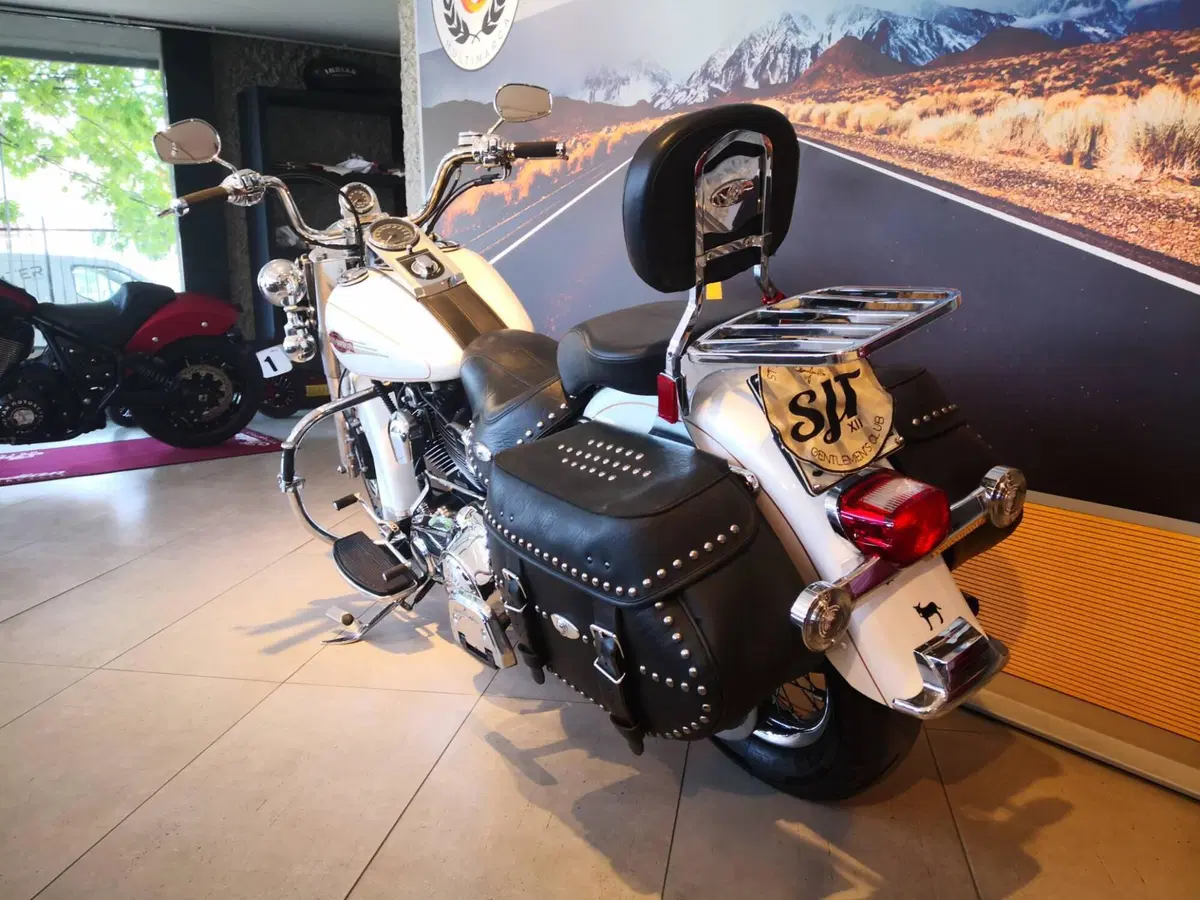Harley-Davidson 1584 Heritage Classic (2008 - 10) - FLSTC (8)