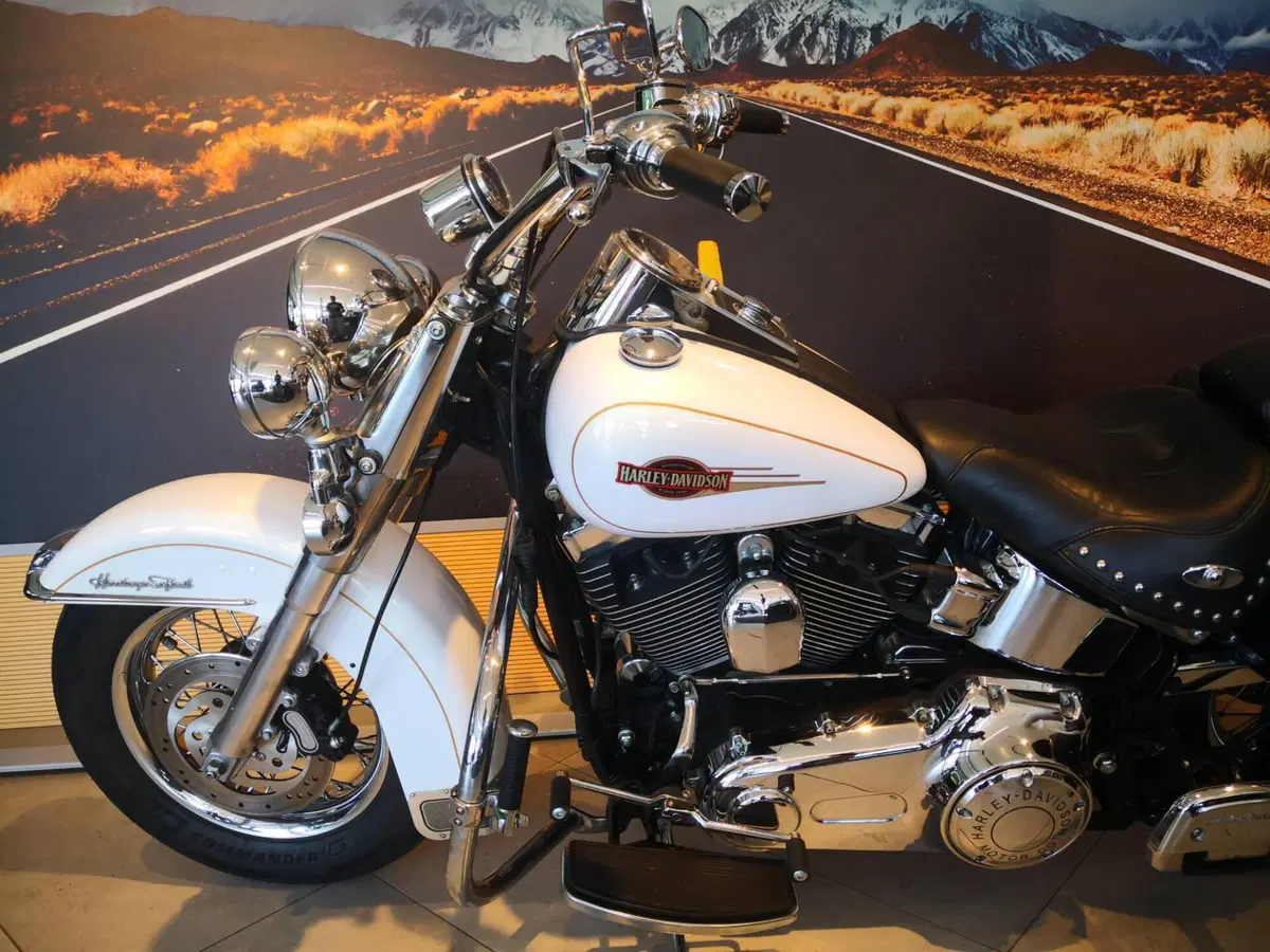 Harley-Davidson 1584 Heritage Classic (2008 - 10) - FLSTC (10)