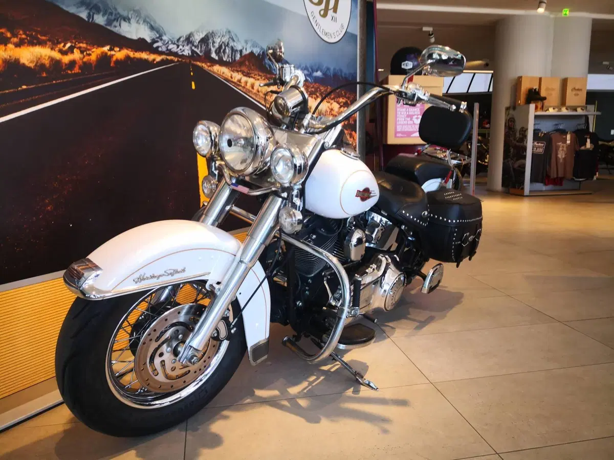 Harley-Davidson 1584 Heritage Classic (2008 - 10) - FLSTC (11)