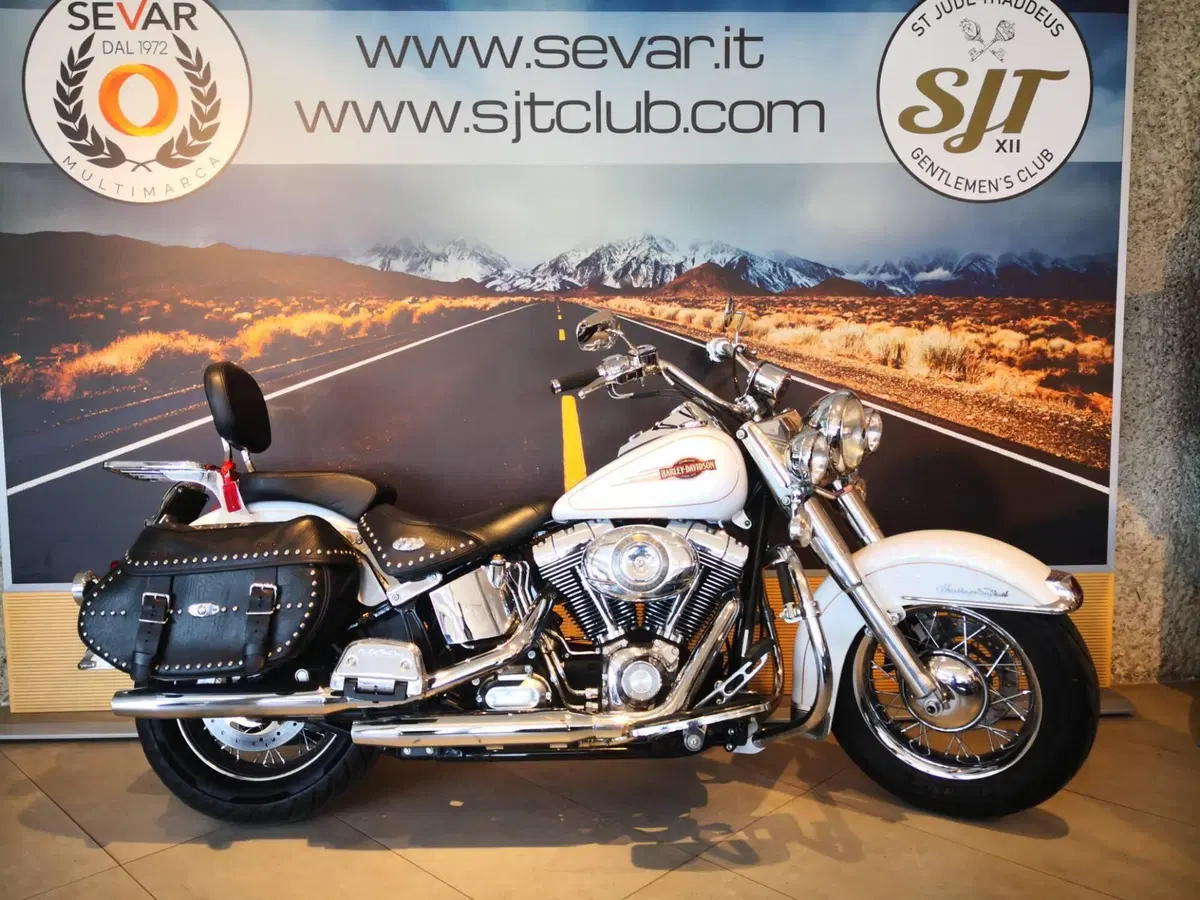 Harley-Davidson 1584 Heritage Classic (2008 - 10) - FLSTC (2)