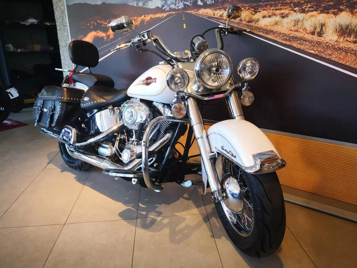 Harley-Davidson 1584 Heritage Classic (2008 - 10) - FLSTC (3)