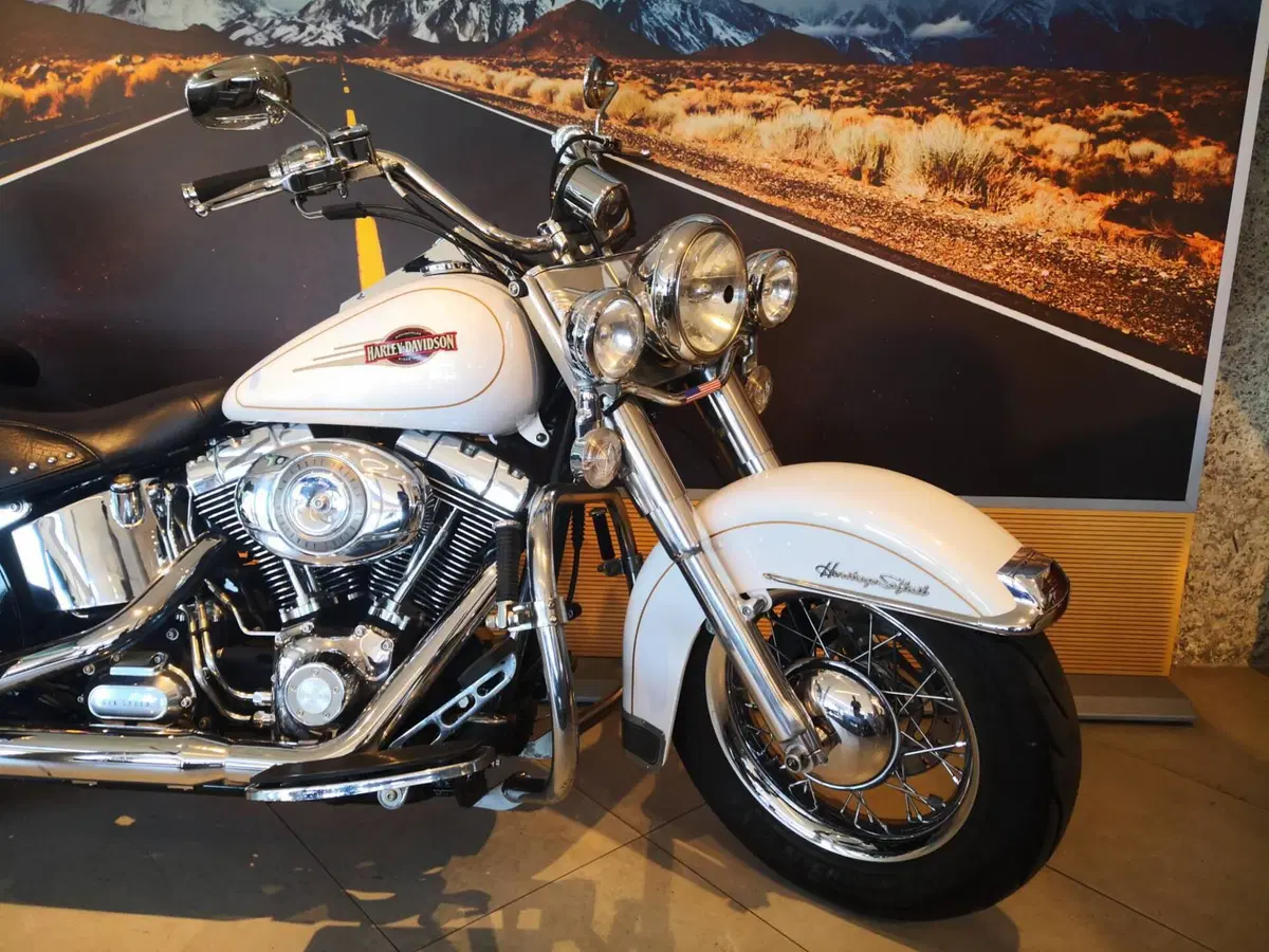 Harley-Davidson 1584 Heritage Classic (2008 - 10) - FLSTC (4)
