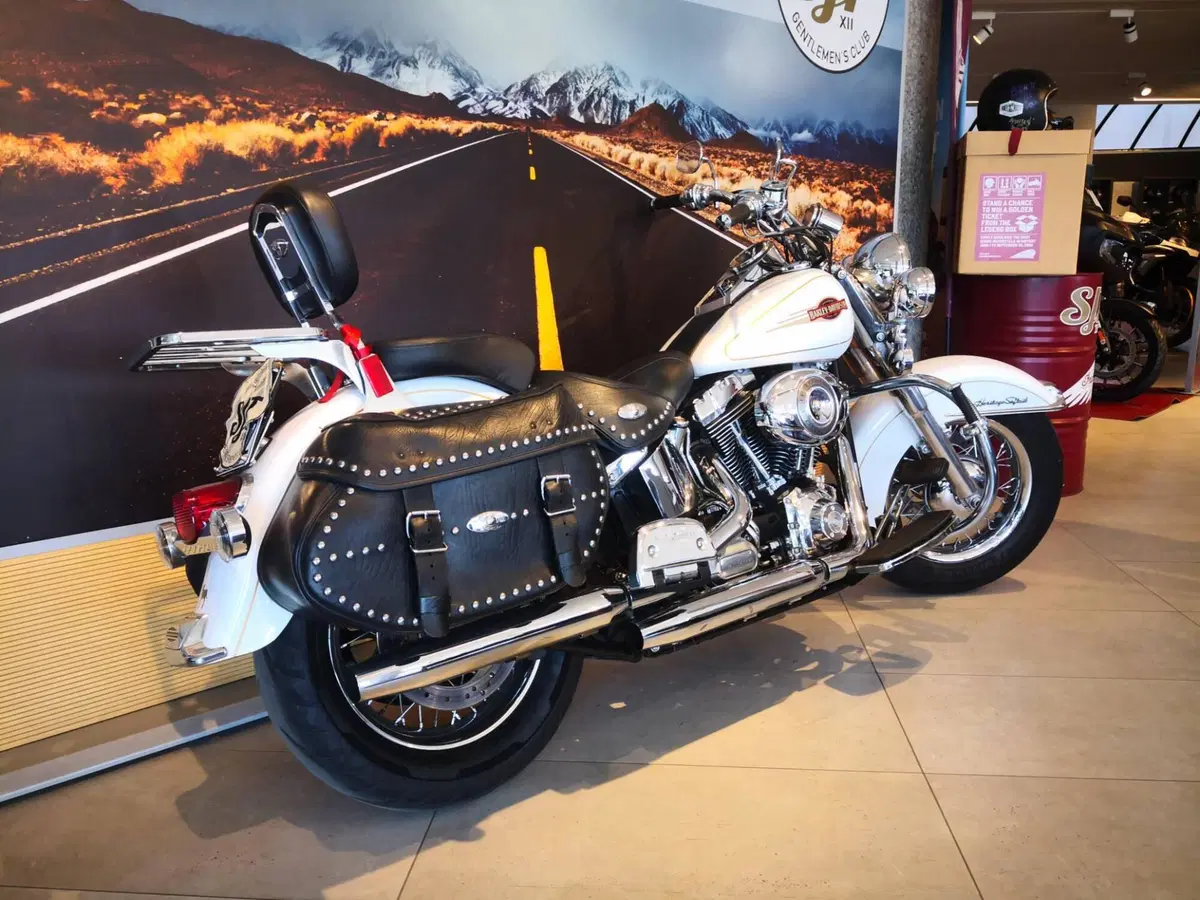 Harley-Davidson 1584 Heritage Classic (2008 - 10) - FLSTC (6)