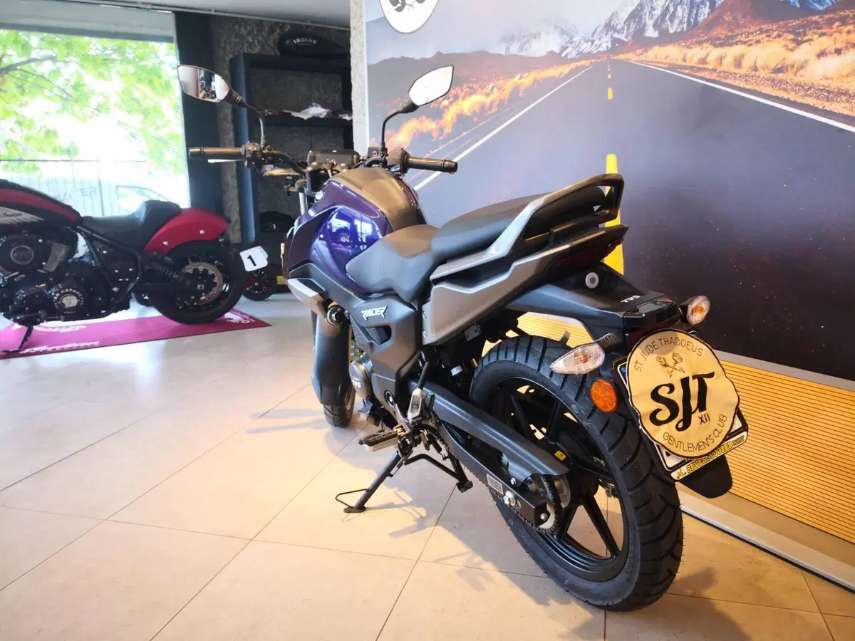 TVS Motor Raider 125 (2024 - 26) (8)
