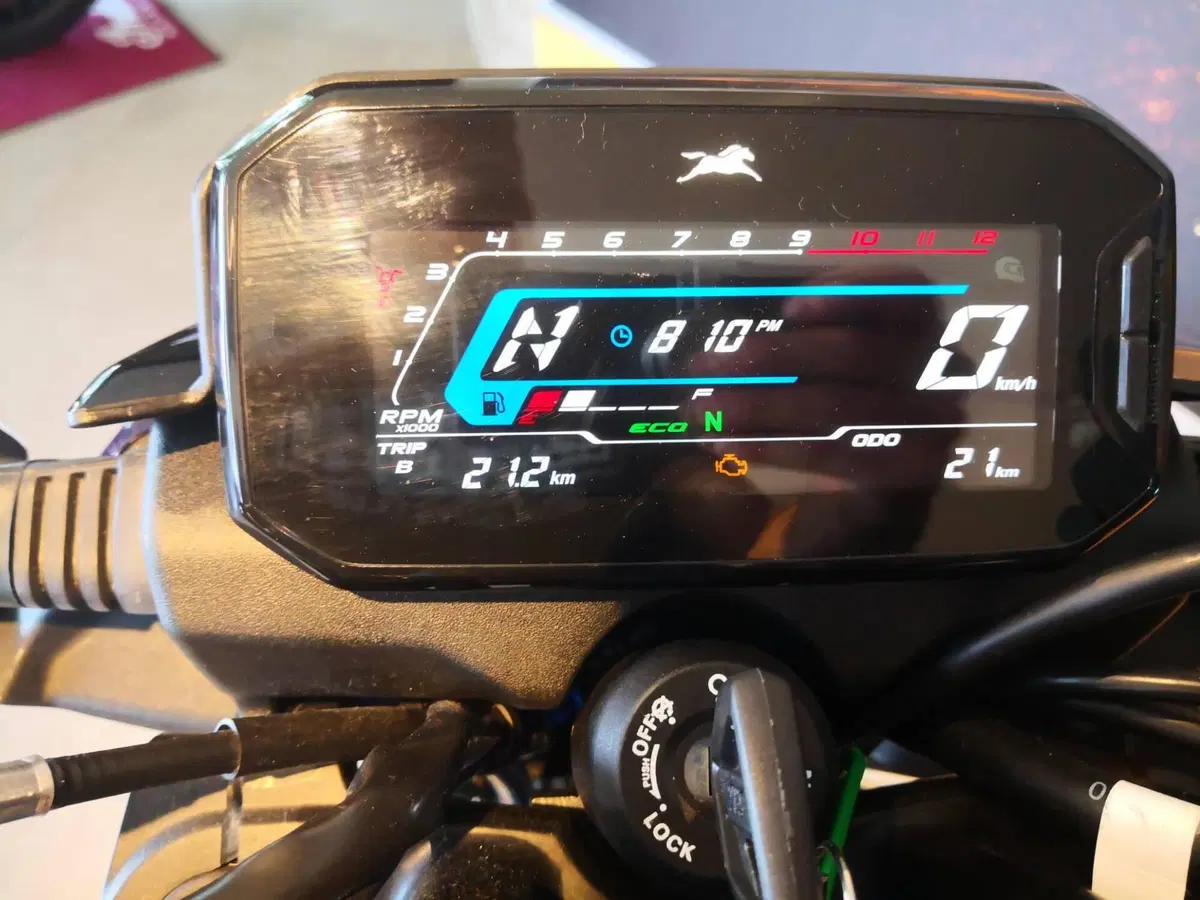 TVS Motor Raider 125 (2024 - 26) (12)