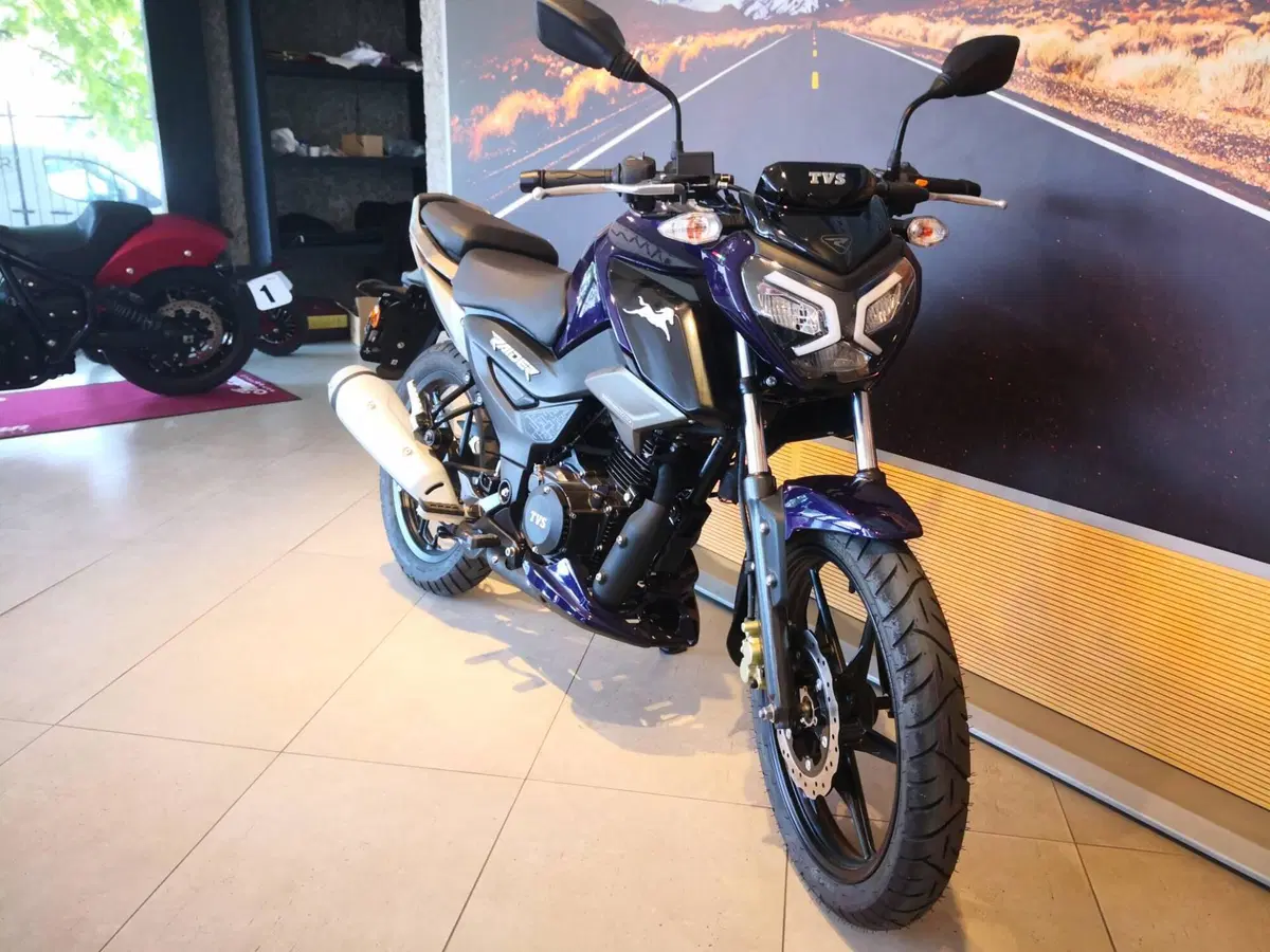 TVS Motor Raider 125 (2024 - 26) (3)