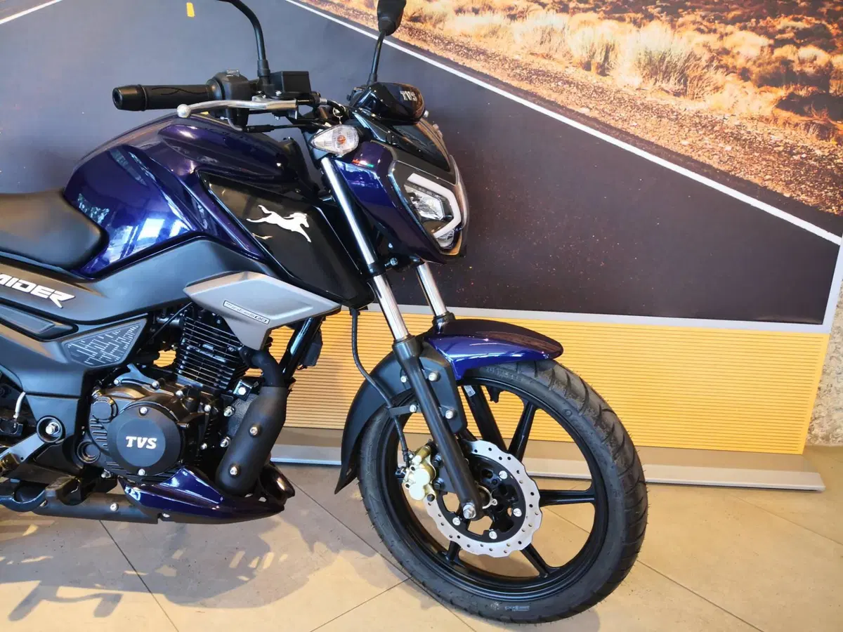 TVS Motor Raider 125 (2024 - 26) (4)