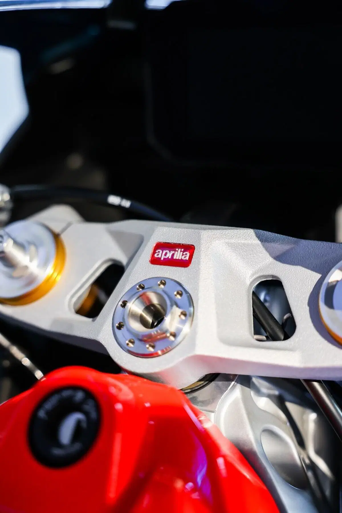 Aprilia RS 660 (2025 - 26) (17)